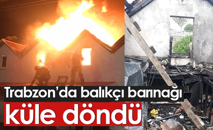 Trabzon'da yangın barınağı kül etti