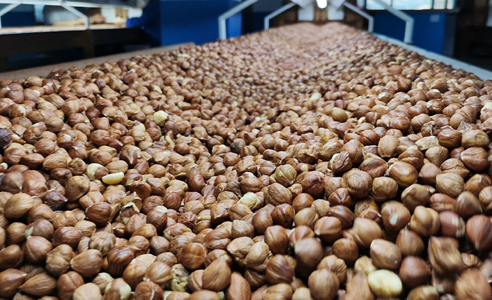 Fındık ihracatı arttı