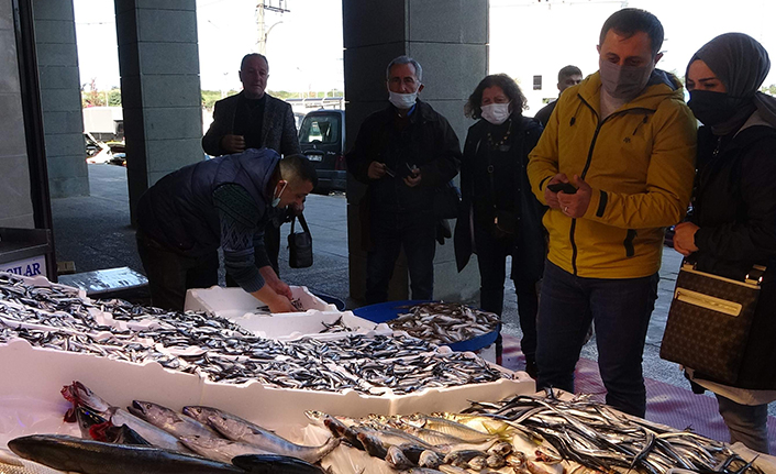 Trabzon'da kilosu 10 TL'ye kadar düştü, tuzlama zamanı geldi