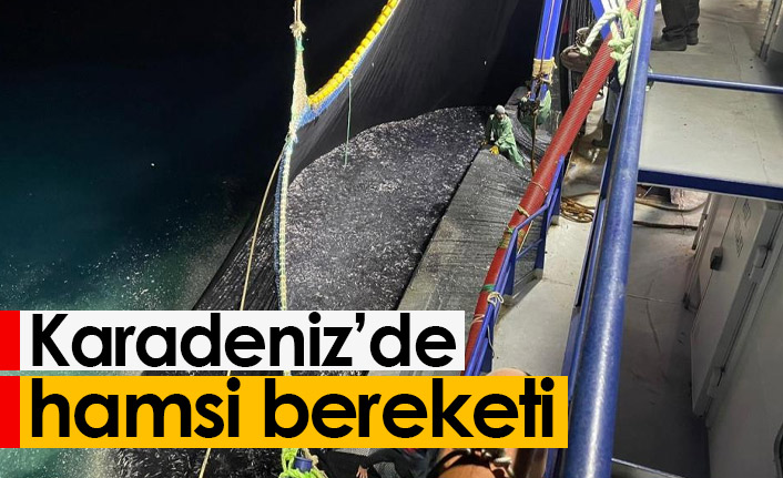 Karadeniz’de Hamsi Bereketi Başladı: Balıkçılar Kasa Kasa Dönüyor