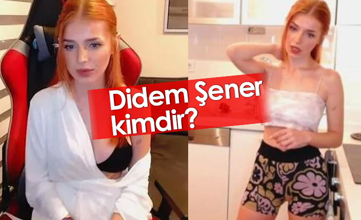 Didem Şener Kimdir? Twitch Yayıncısı Didem Şener Ne Yaptı?