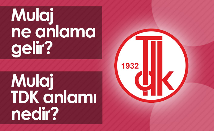 Mulaj Ne Demektir? Mulaj TDK Anlamı Nedir?