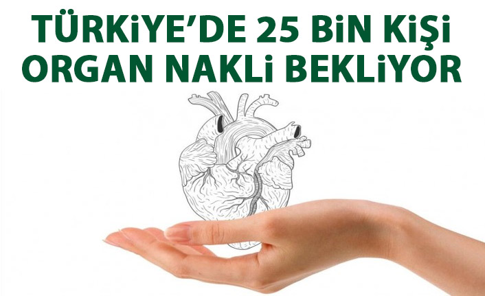 Türkiye’de 25 bin kişi organ bekliyor