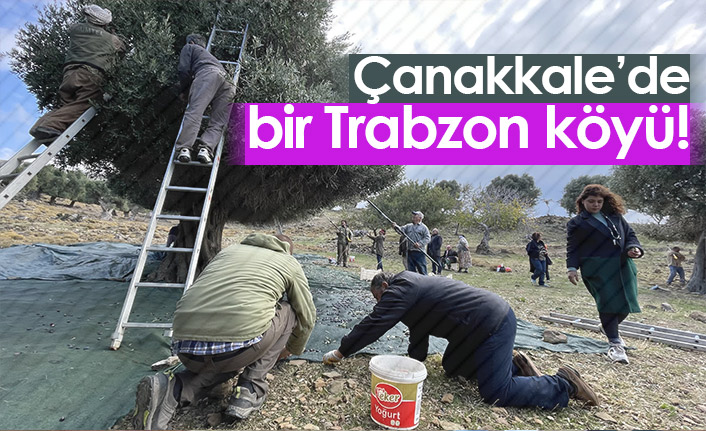 Çanakkale'de bir Trabzon köyü