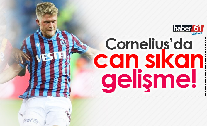 Cornelius'tan can sıkan haber