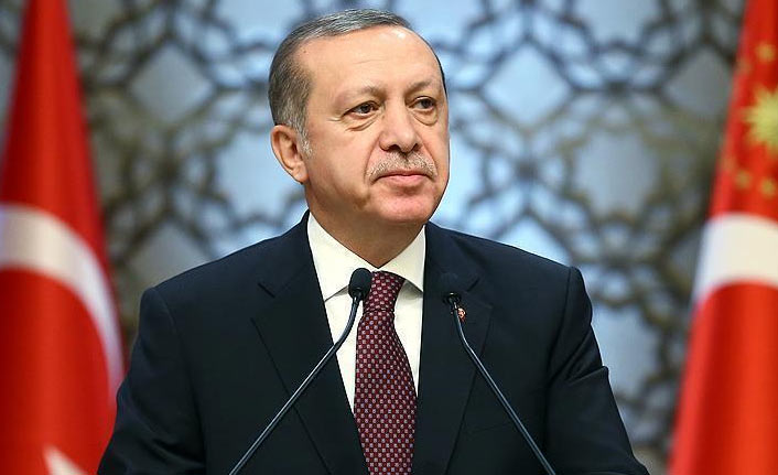 Cumhurbaşkanı Erdoğan'dan doğalgaz açıklaması