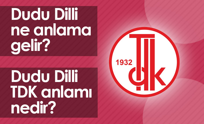 Dudu Dilli Ne Demek? Dudu Dilli TDK Anlamı Ne?