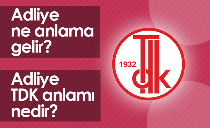 Adliye Ne Demek? Adliye TDK Anlamı Ne?