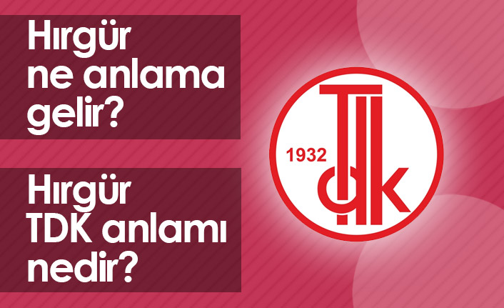 Hırgür Ne Demektir? Hırgür TDK Anlamı Nedir?