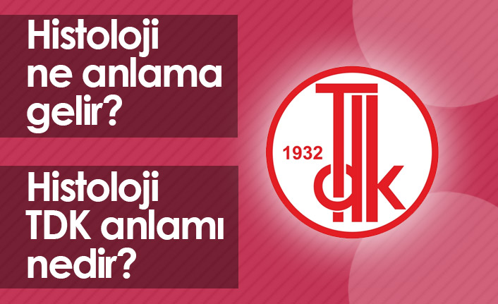 Histoloji Ne Demektir? Histoloji TDK Anlamı Nedir?