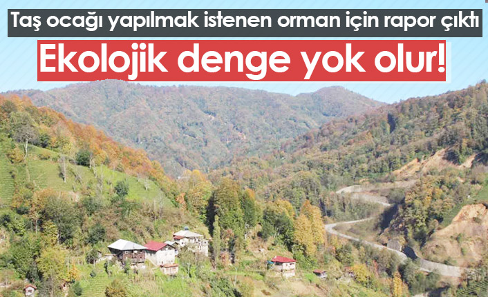 Ormanda yapılmak istenen taş ocağı için rapor çıktı: Ekolojik denge yok olur