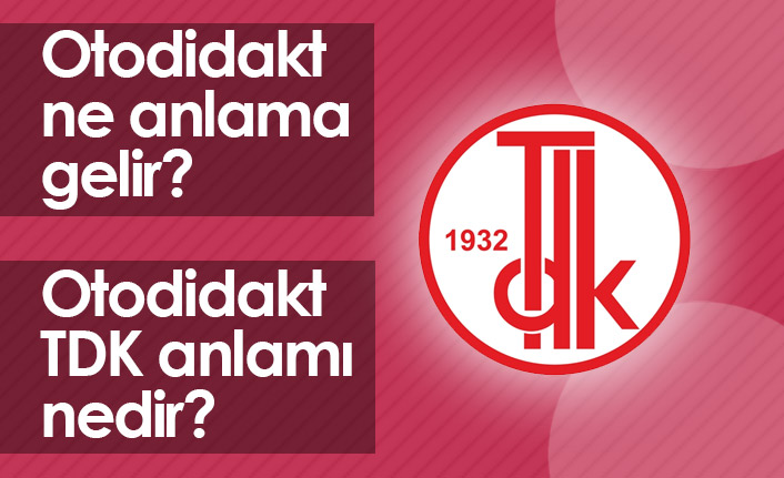 Otodidakt Ne Demektir? Otodidakt TDK Anlamı Nedir?