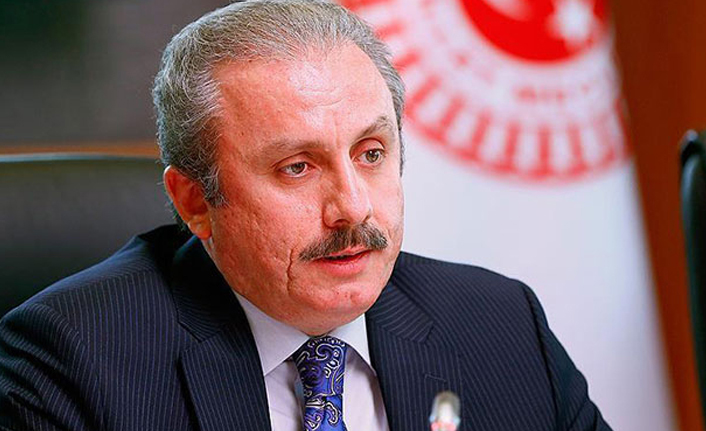 Şentop'tan yeni anayasa açıklaması