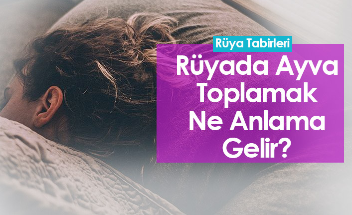 Rüyada Ayva Toplamak Ne Anlama Gelir? Rüyada Ayva Görmek