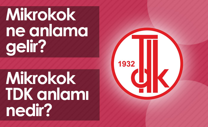 Mikrokok Ne Demektir? Mikrokok TDK Anlamı Nedir?