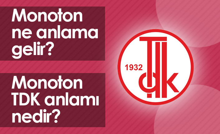 Monoton Ne Demek? Monoton TDK Anlamı Ne?