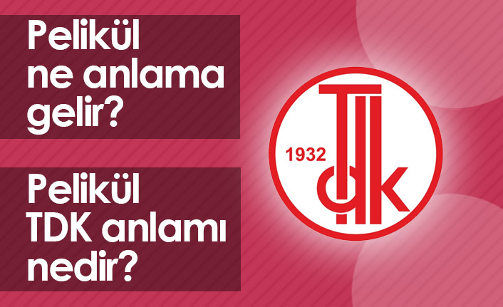 Pelikül Ne Demek? Pelikül TDK Anlamı Ne?