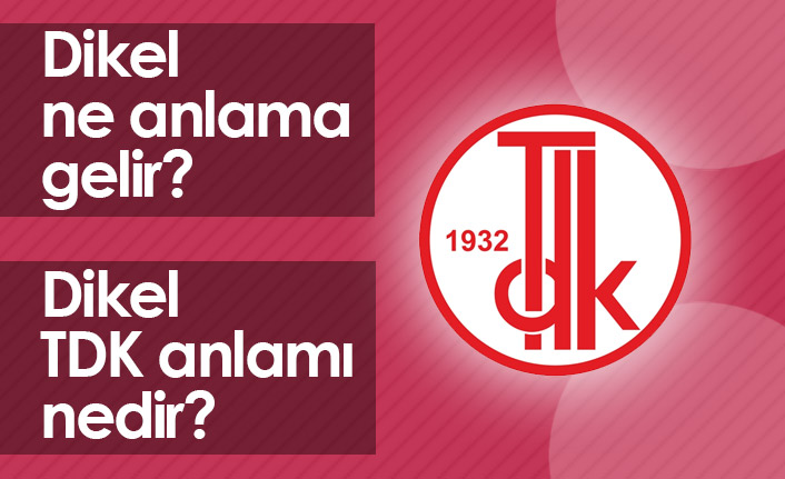 Dikel Ne Demek? Dikel TDK Anlamı Ne?