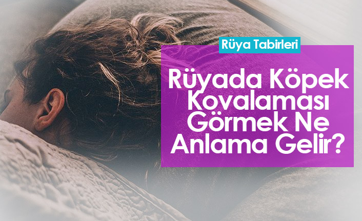 Rüyada Köpek Kovalaması Görmek Ne Anlama Gelir?
