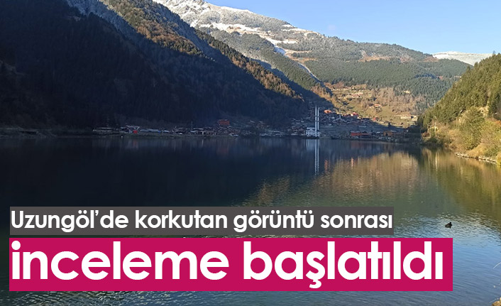 Uzungöl’de korkutan görüntü sonrası inceleme başlatıldı