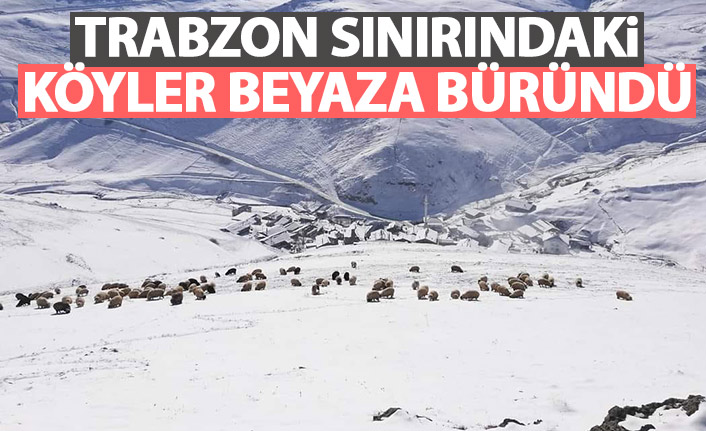Trabzon sınırındaki köyler beyaza büründü