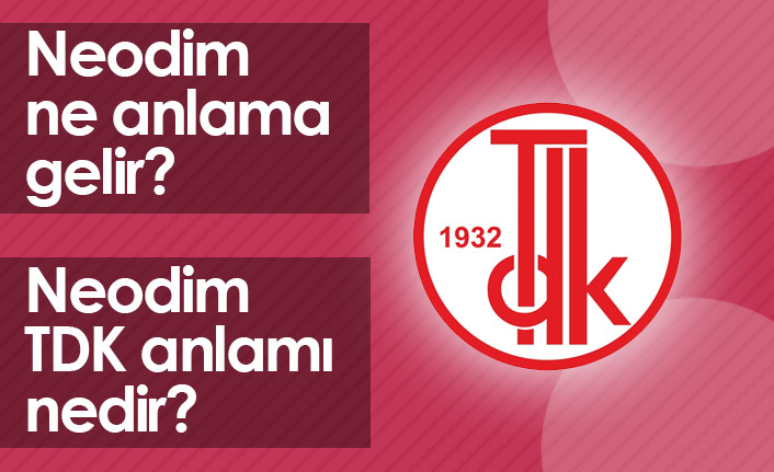 Neodim Ne Demek? Neodim TDK Anlamı Ne?