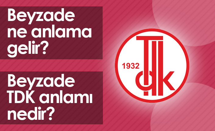 Beyzade Ne Demek? Beyzade TDK Anlamı Ne?