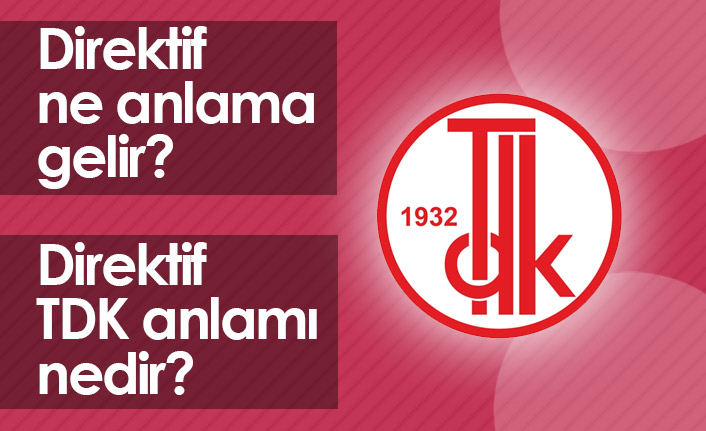 Direktif Ne Demek? Direktif TDK Anlamı Ne?