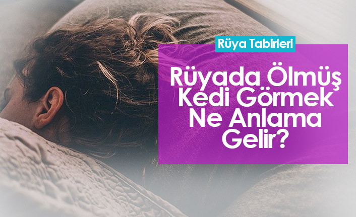 Rüyada Ölmüş Kedi Görmek Ne Anlama Gelir?