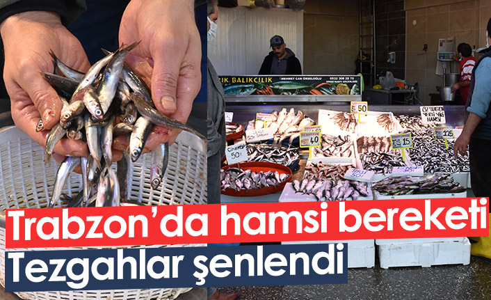 Trabzon'da hamsi bereketi