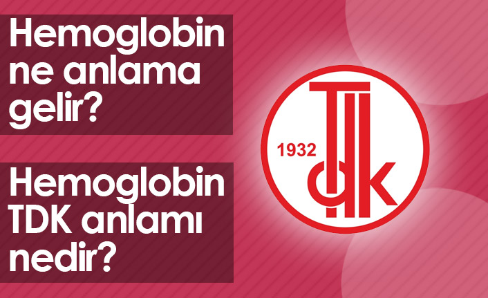 Hemoglobin Ne Demek? Hemoglobin TDK Anlamı Ne?