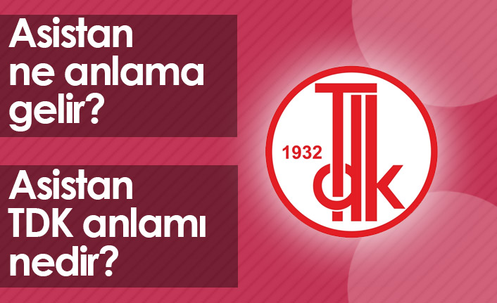 Asistan Ne Demektir? Asistan TDK Anlamı Nedir?