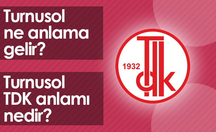 Turnusol Ne Demektir? Turnusol TDK Anlamı Nedir?