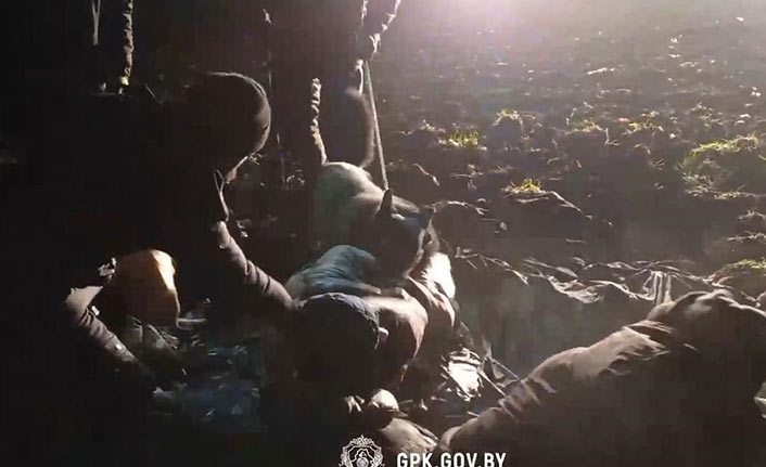 Belarus-Litvanya sınırında göçmenlere köpekle müdahale