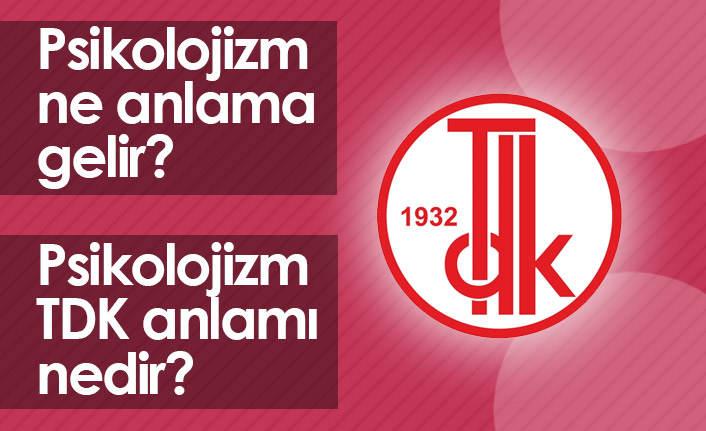 Psikolojizm Ne Demektir? Psikolojizm TDK Anlamı Nedir?