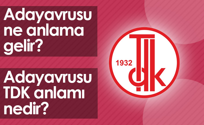 Adayavrusu Ne Demektir? Adayavrusu TDK Anlamı Nedir?