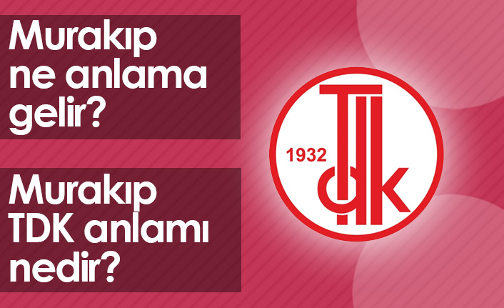 Murakıp Ne Demektir? Murakıp TDK Anlamı Nedir?