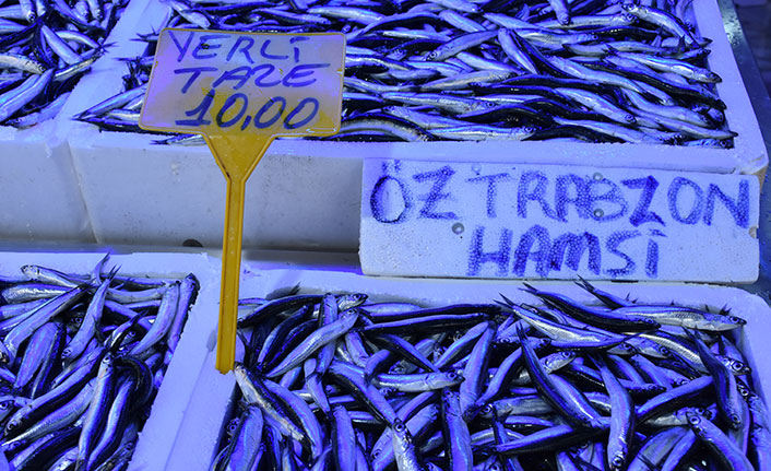 Trabzon'daki tezgahlarda hamsi bolluğu