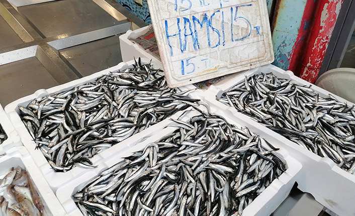 Hava koşulları hamsiyi etkiledi