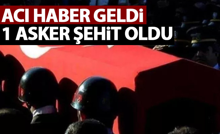 Suriye sınırından acı haber geldi! 1 askerim şehit - 26 Kasım 2021