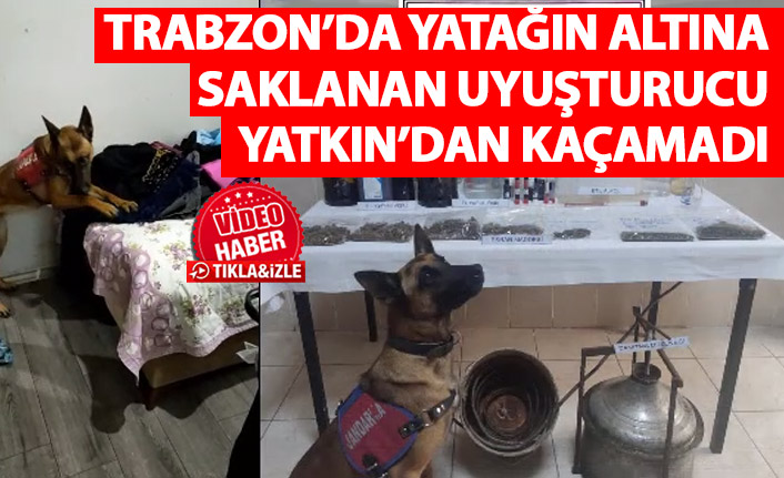 Yatağın altında kavanozlara saklanan uyuşturucu ‘Yatkın’a takıldı