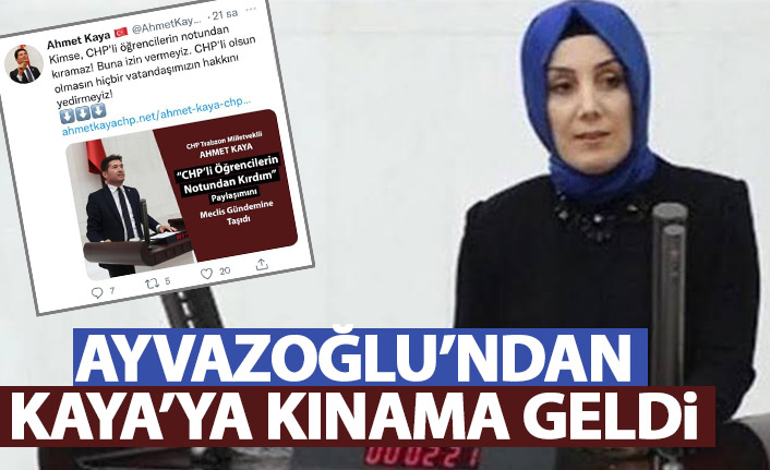 Bahar Ayvazoğlu'ndan Ahmet Kaya'ya kınama: Acınası hallerine hepimiz şahit oldu