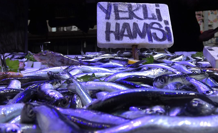 Karadeniz'de hamsi tedirginliği