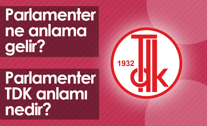 Parlamenter Ne Demek? Parlamenter TDK Anlamı Ne?