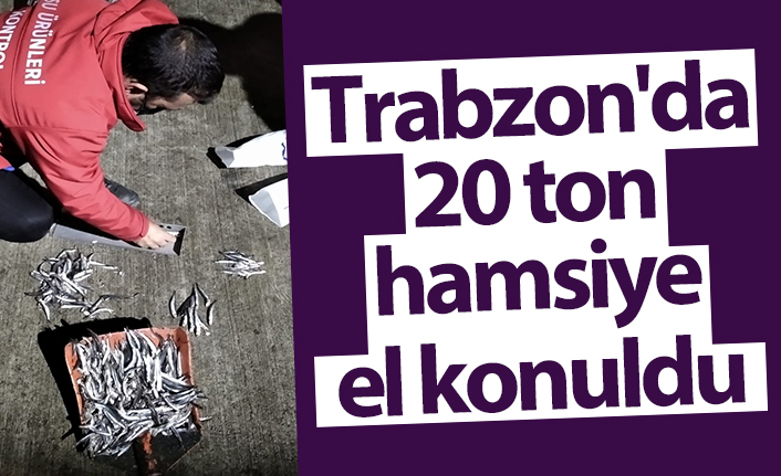 Trabzon’da limit altı avlanan 20 ton hamsiye el konuldu