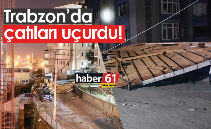 Trabzon'da fırtına ağaçları devirdi, çatıları uçurdu!