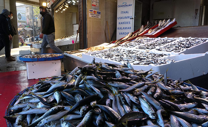 Hamsi azaldı, fiyat yükselişe geçti