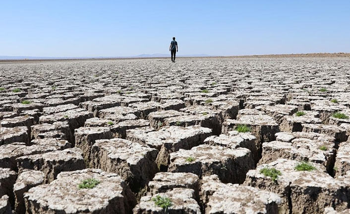 Her 5 saniyede bir futbol sahası büyüklüğünde toprak yok oluyor