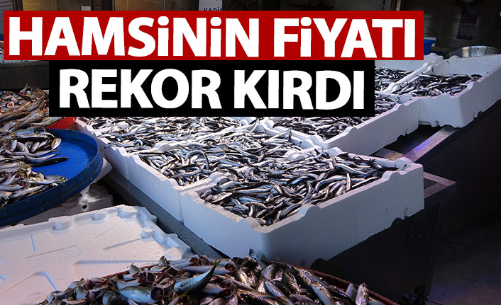 Hamsinin fiyatı bu sezon ilk kez bu kadar yükseldi