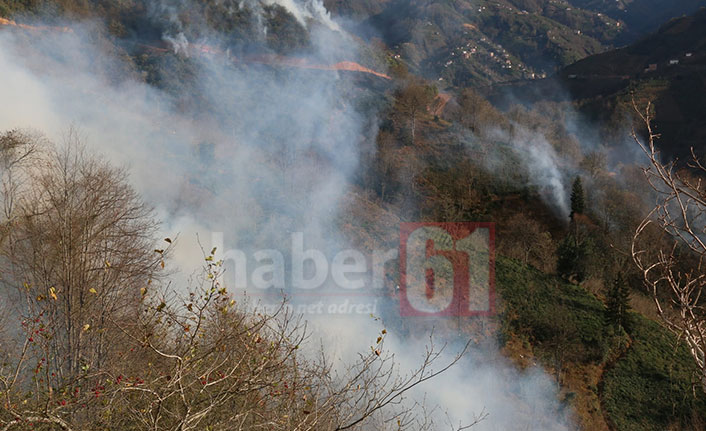 Sürmene Dirlik’te Bahçe Ateşi Ormana Sıçradı: Yangın Büyüdü